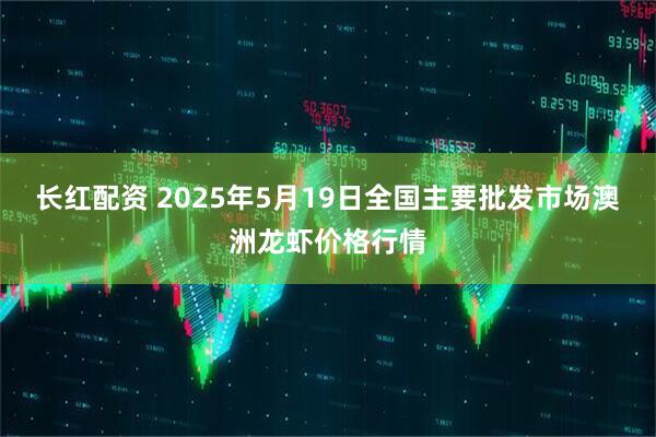 长红配资 2025年5月19日全国主要批发市场澳洲龙虾价格行情