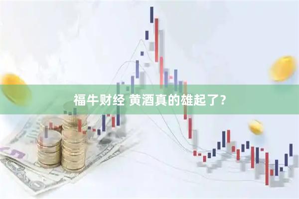福牛财经 黄酒真的雄起了？