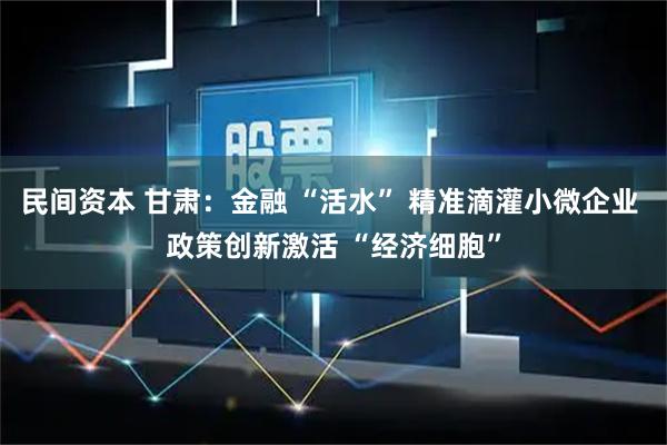民间资本 甘肃：金融 “活水” 精准滴灌小微企业 政策创新激活 “经济细胞”