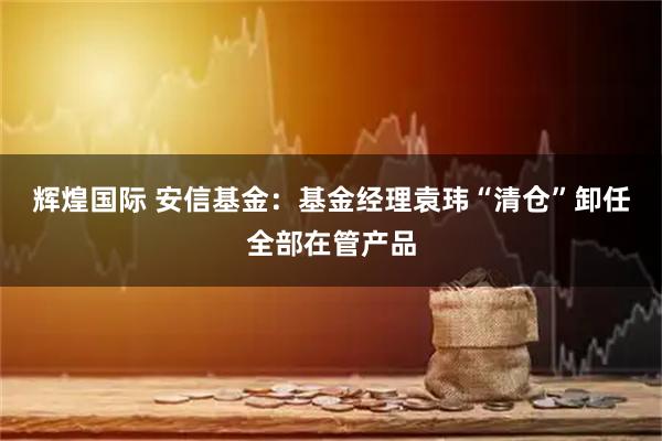 辉煌国际 安信基金：基金经理袁玮“清仓”卸任全部在管产品